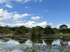 -野象谷景区