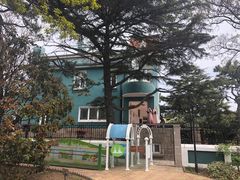 -八大关景区