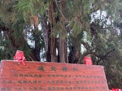 -四门塔风景区