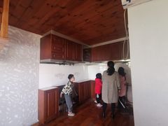 -金山农民画村-枫泾波兰倒置屋