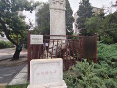-团结湖公园