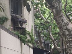 -RUMORS COFFEE ROASTERY鲁马滋咖啡(湖南路店)