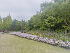-上海滨江森林公园
