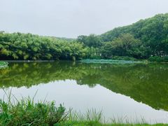 -河南省黄河迎宾馆
