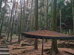 -凤栖山