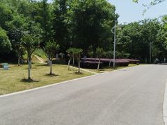 -太子山公园(园东路)