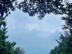 -惠山国家森林公园