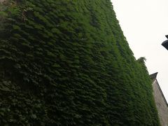 -涌上外婆桥(南塘店)
