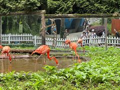 -贵州森林野生动物园