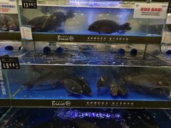 -永辉超市(鲁谷店)
