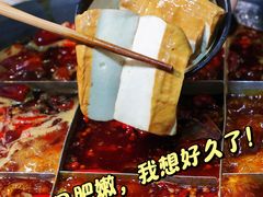 -肥龙火锅(南坪店)