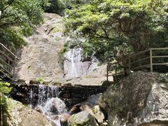 -东天目山风景区