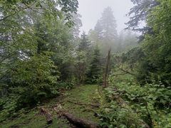 -老秃顶草原景区