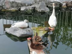 -龙华寺