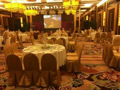 -天府阳光酒店·宴会厅