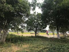 -滆湖低碳生态公园
