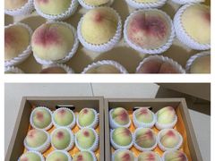 -老袁家蜜桃农场·阳山水蜜桃