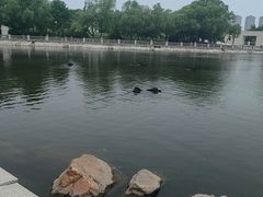 -长春市南湖公园