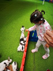 -萌宠亲子动物乐园(槐房万达店)