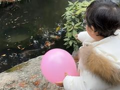 -香然会·园林雅宴(陆家嘴店)