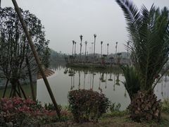 -枫香湖儿童公园