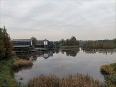 -白鹭湾湿地公园