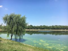 -素心小筑(后沙裕镇店)