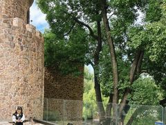 -J Create城市露营咖啡·简餐·宠物(上海动物园店)