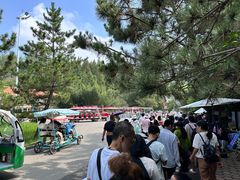 -日照海滨国家森林公园