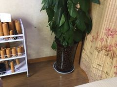 -老成都·古法采耳·禅洗头疗(四川总店)