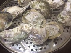 桑拿蚝-蚝专家(北滘店)