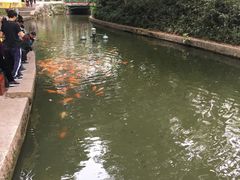 -珠海圆明新园