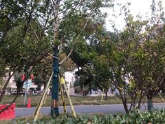 -长沙市青少年宫