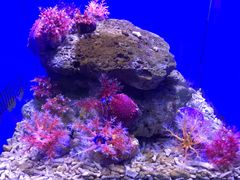 -青岛海底世界-水族馆