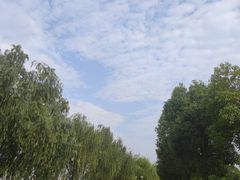 -汉江湾体育公园