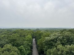 -灵谷景区