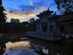 -深圳国际园林花卉博览园