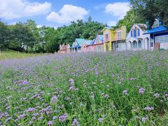 -松山湖梦幻百花洲