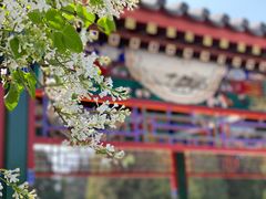 -天坛公园
