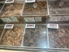 -上海市长春食品商店(淮海中路店)
