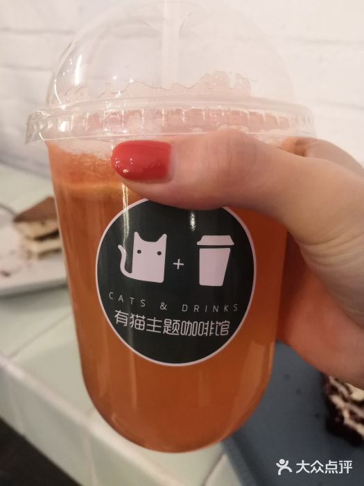 有猫主题·治愈系猫咖(曾厝垵店)西柚茉莉图片