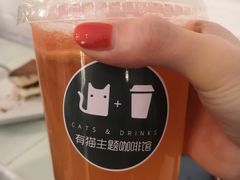 西柚茉莉-有猫主题·治愈系猫咖(曾厝垵店)