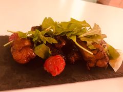 -百好乐宠物友好餐厅(朝外大街店)