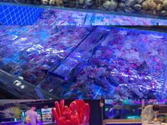 -海韵之星邮轮水会(明发商业广场店)