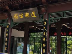 -莲湖公园