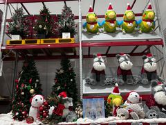 -山姆会员商店(上海浦东店)