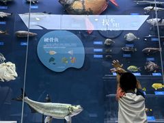 -国家自然博物馆