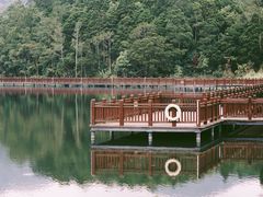 -海南热带雨林国家公园吊罗山景区