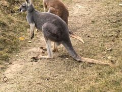 -泉州海丝野生动物世界