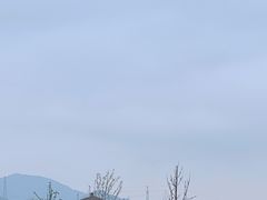 -径山花海